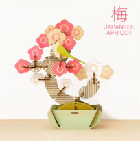 Play Plants Bonsai Puzzle