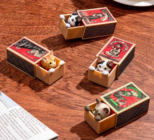 Cat Peek Matchbox Blind Box