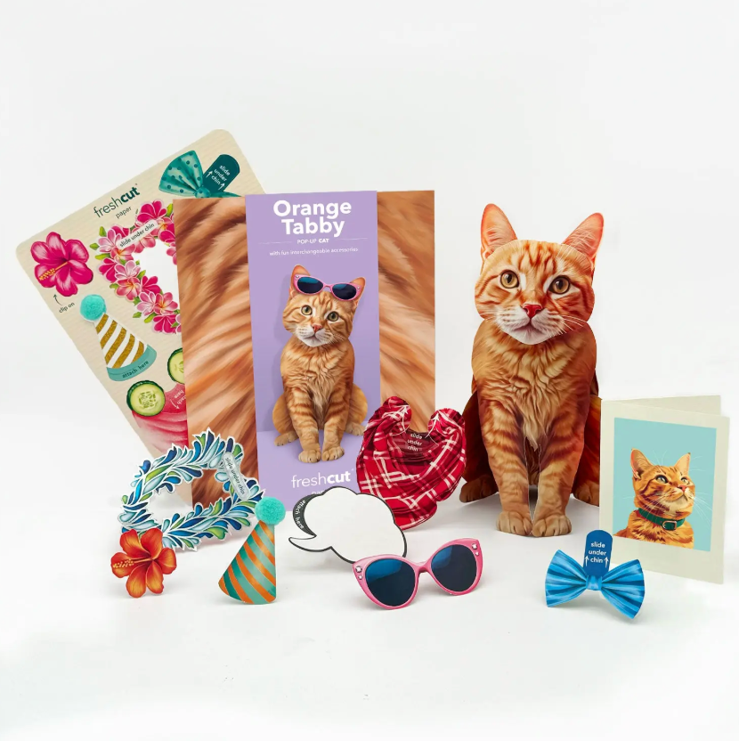 Orange Tabby Pop-Up Cat