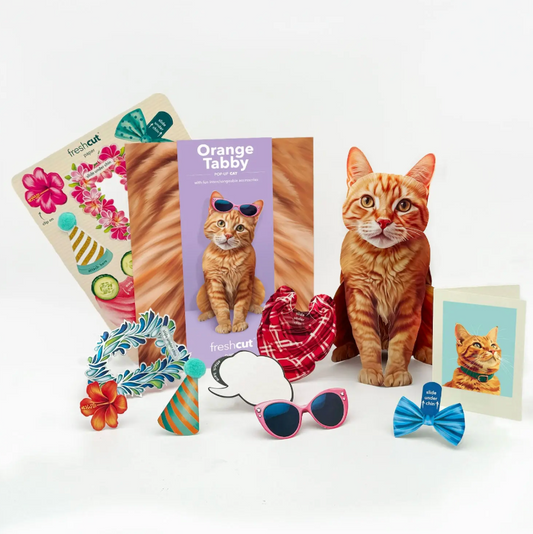 Orange Tabby Pop-Up Cat