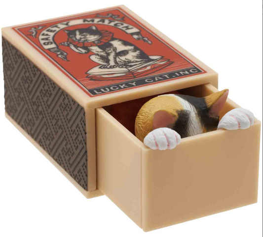 Cat Peek Matchbox Blind Box