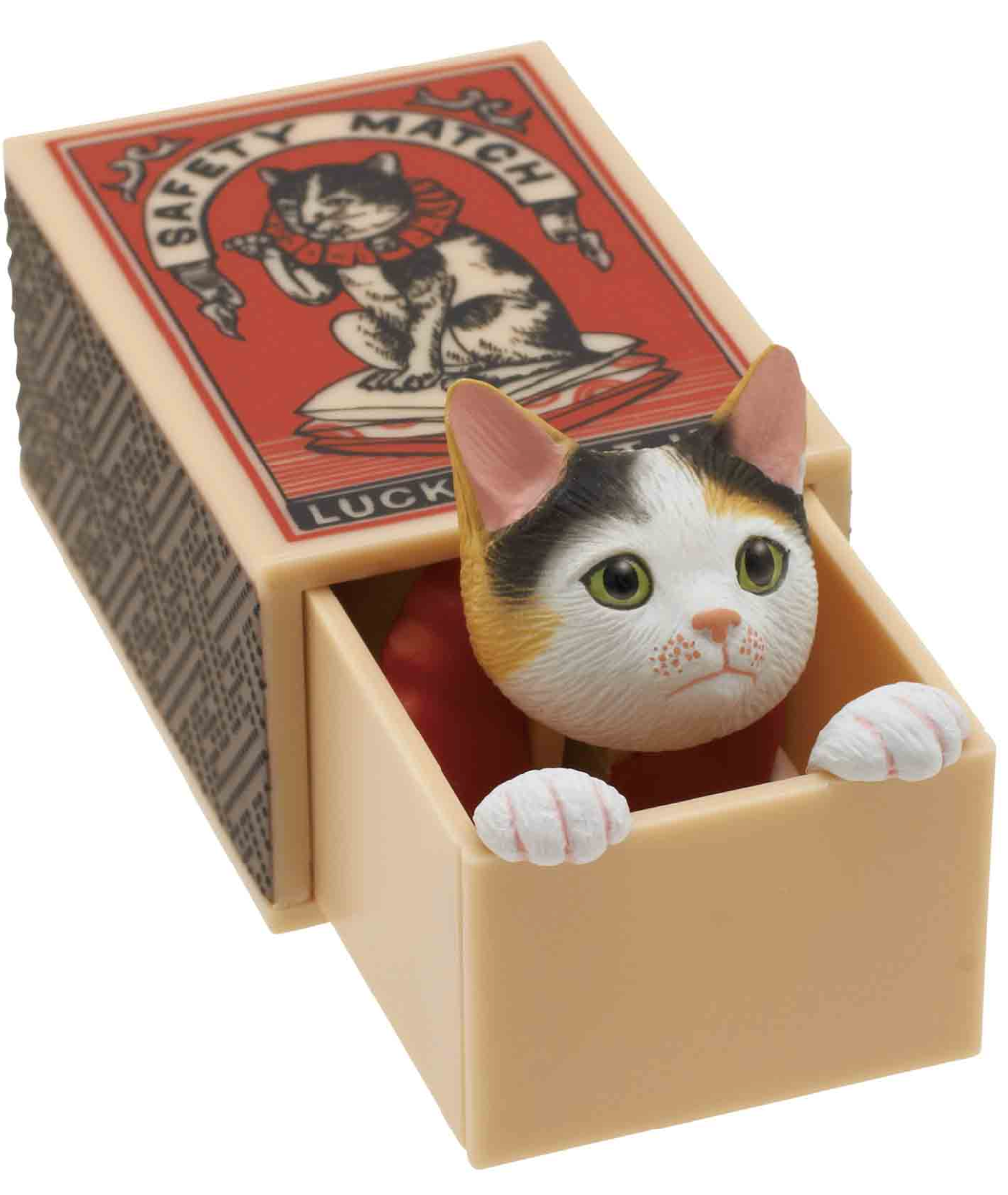 Cat Peek Matchbox Blind Box