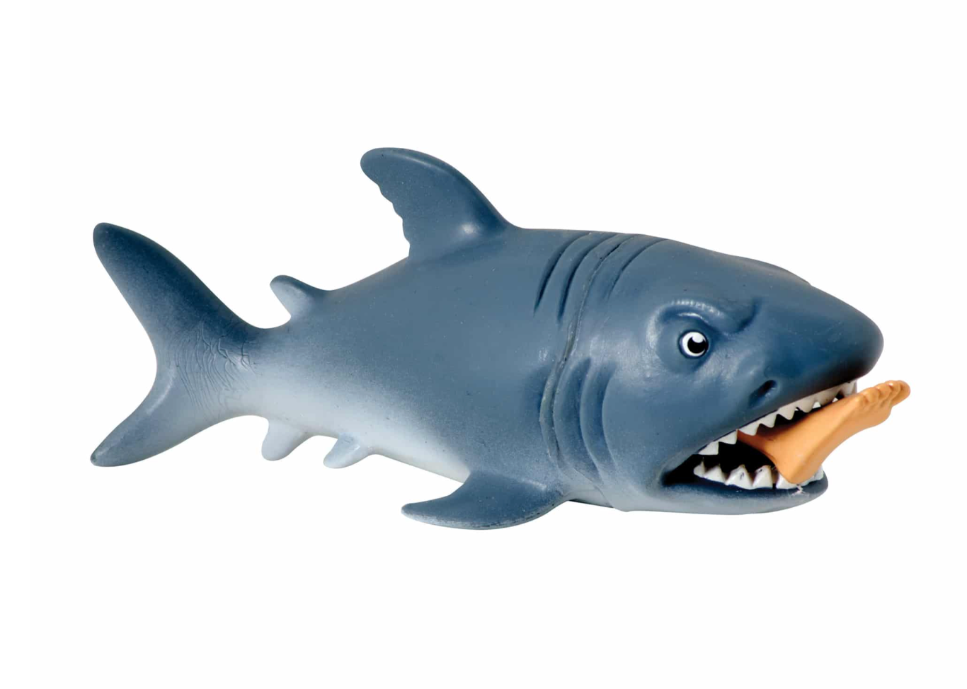 Chomp The Shark