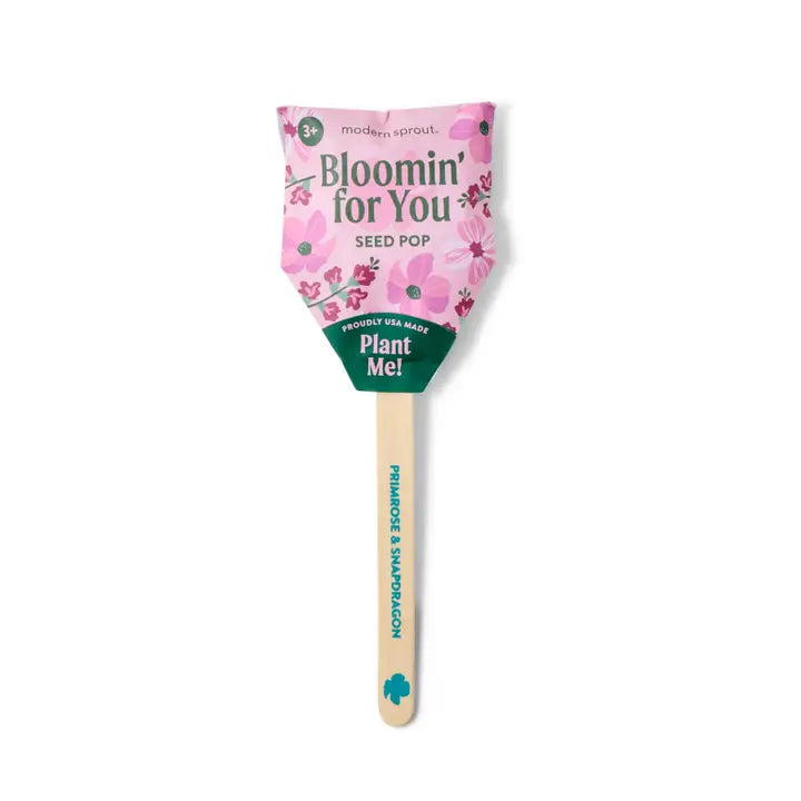 Seed Lollipop - Pollinator