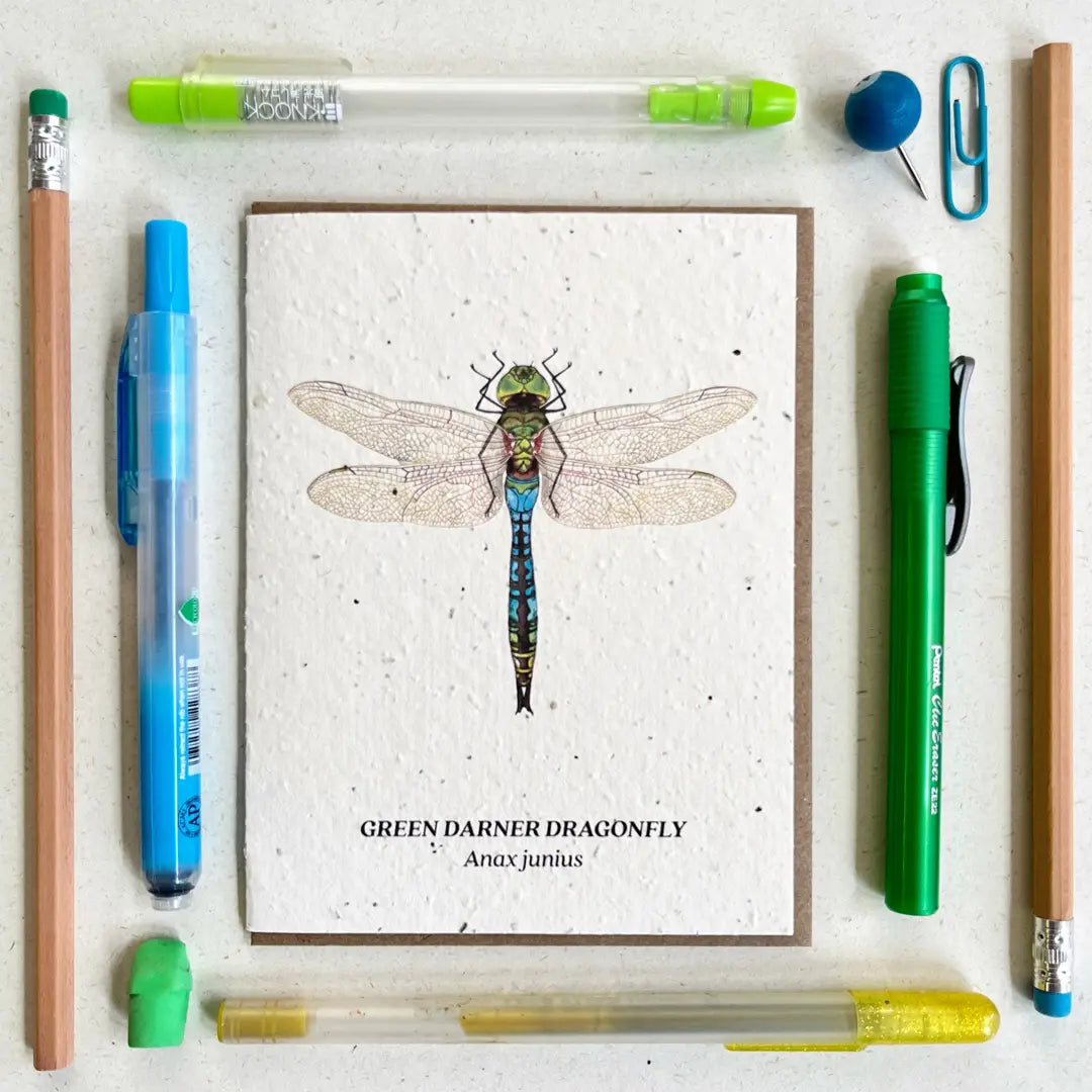 Plantable Seed Card - Green Darner Dragonfly Wildflower