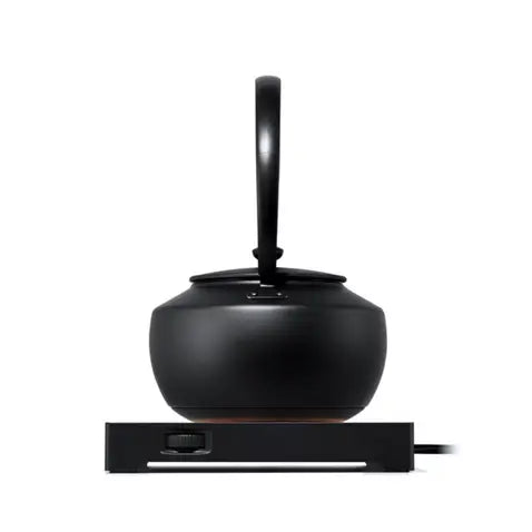 Moonkettle Electric Kettle with Temp Control 122°F - 212°F