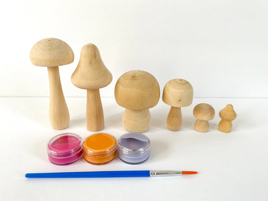 DIY Painted Mushroom Kit