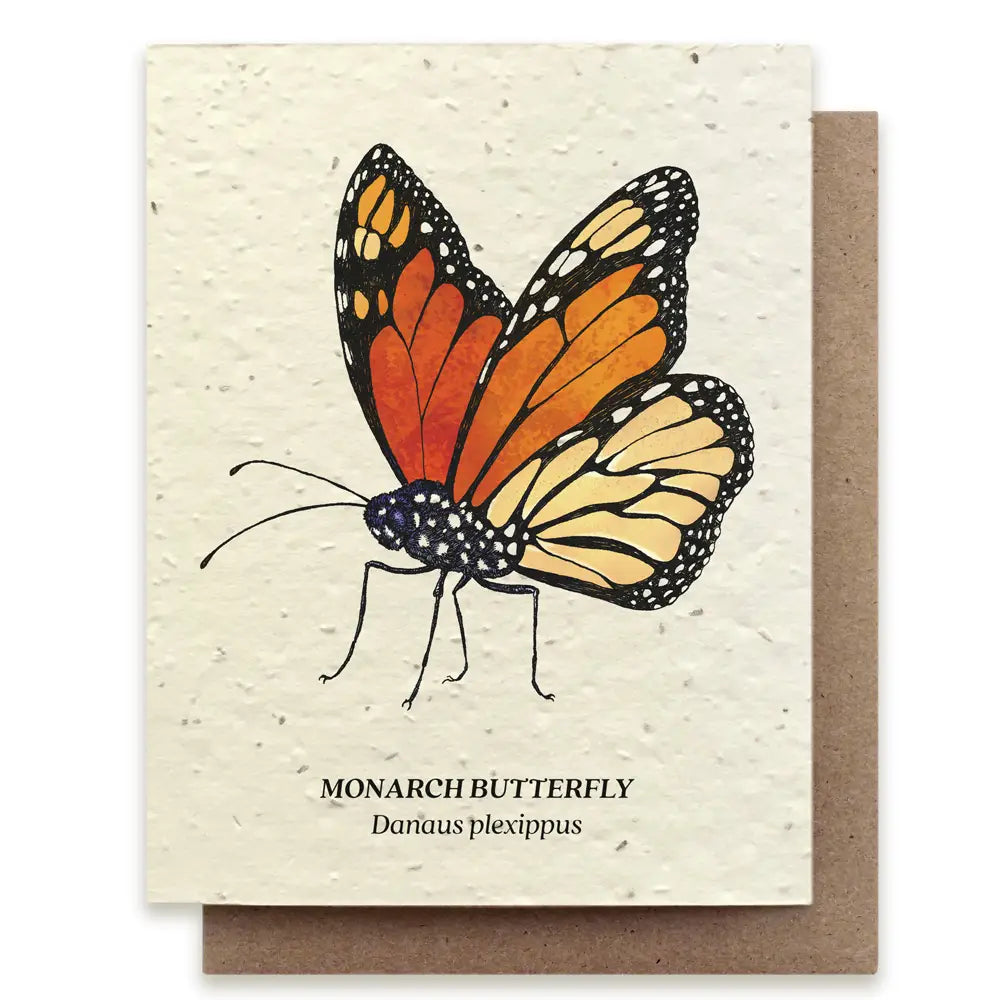 Plantable Seed Card - Monarch Butterfly Wildflower