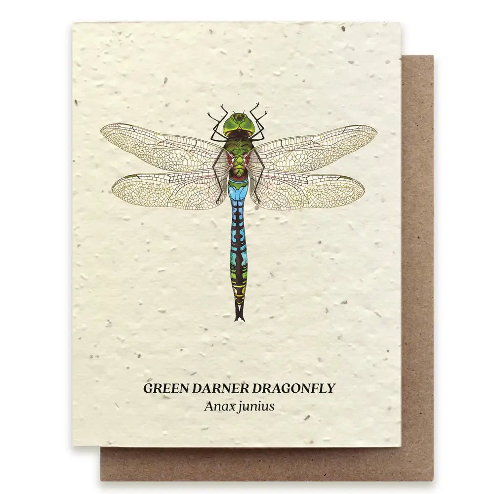 Plantable Seed Card - Green Darner Dragonfly Wildflower