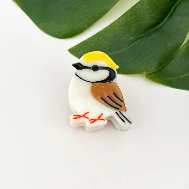 Hair Clips