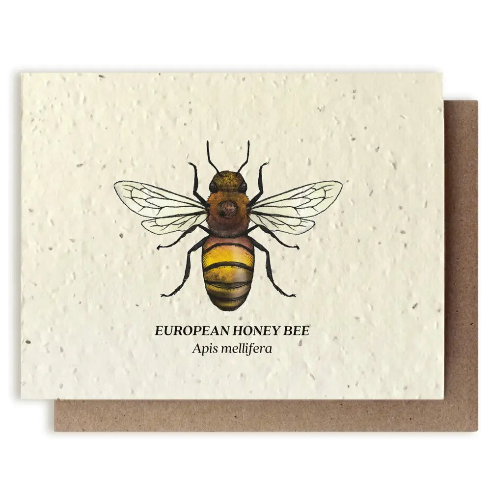 Plantable Seed Card - Honey Bee Wildflower