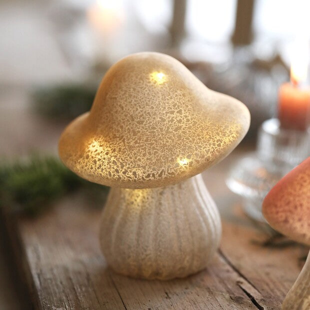 Glass Mushroom Light