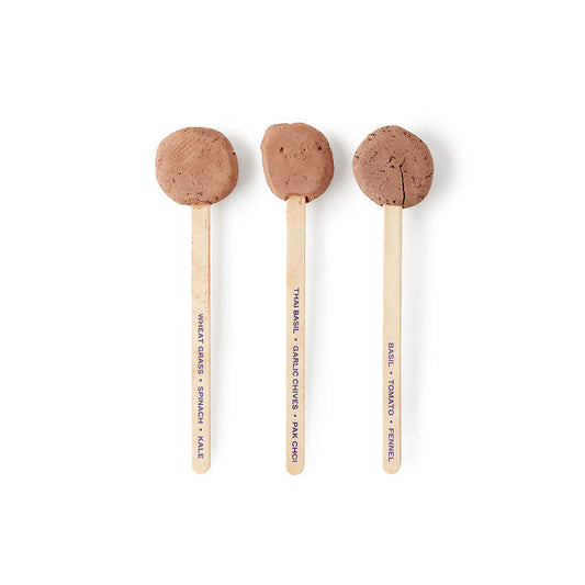 Seed Lollipop - Culinary