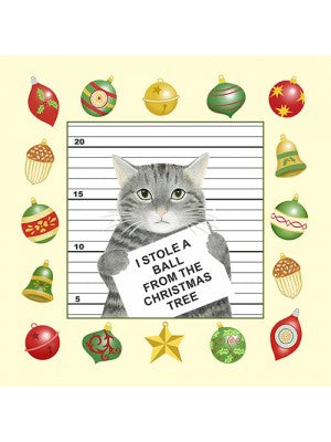 Flour Sack Towel - Cat burglar