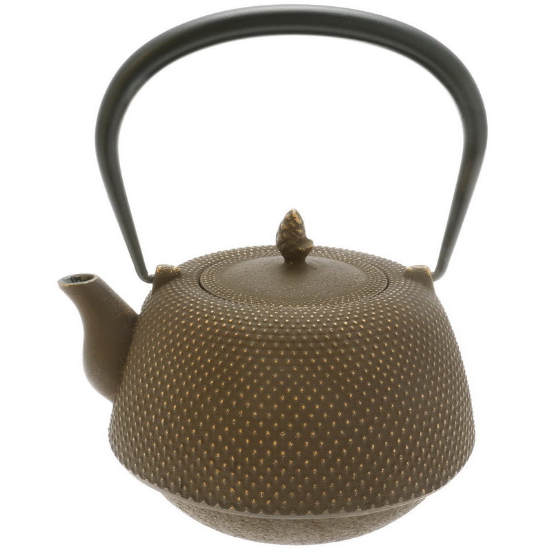 Cast Iron Teapot Gold / Brown Nambu