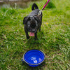 Best Dog - 7" Collapsible Silicone Pet Bowl