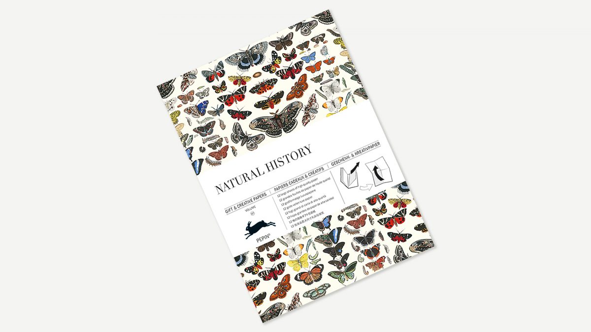 Wrapping Paper - Natural History