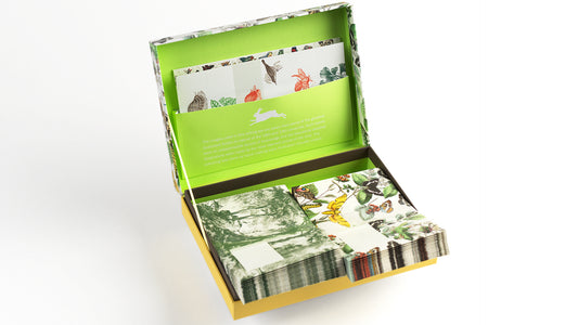 Letter Writing Set box - Natural History