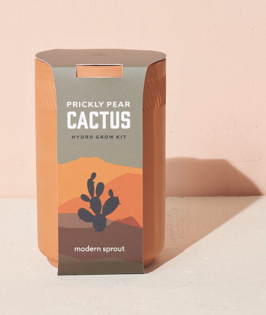Terracotta Kit - Cactus - Modern Sprout