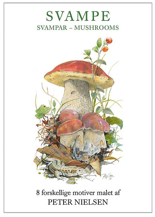 Note Cards Mushroom Card Folder w/8 Note Cards