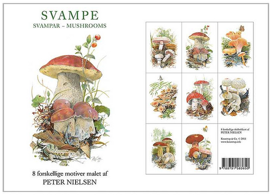 Note Cards Mushroom Card Folder w/8 Note Cards