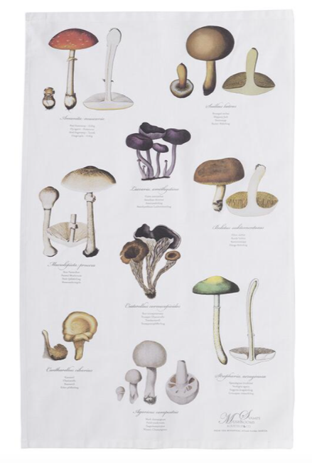 ORGANIC TEA TOWEL - MUSHROOMS