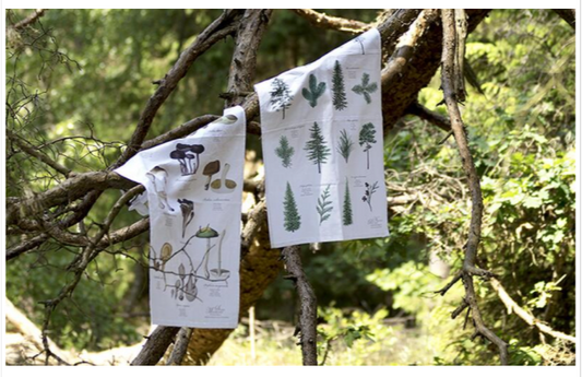 ORGANIC TEA TOWEL - MUSHROOMS