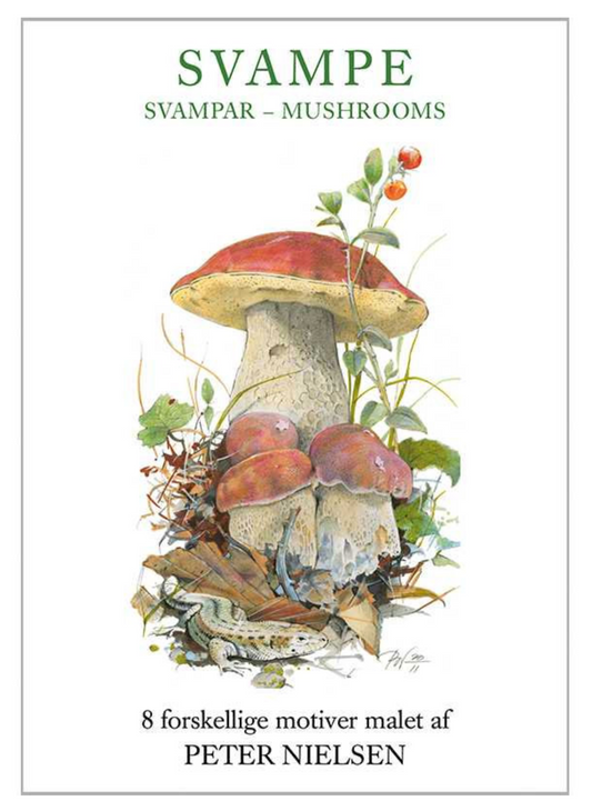 Mini Mushroom Card w/10 Note Cards