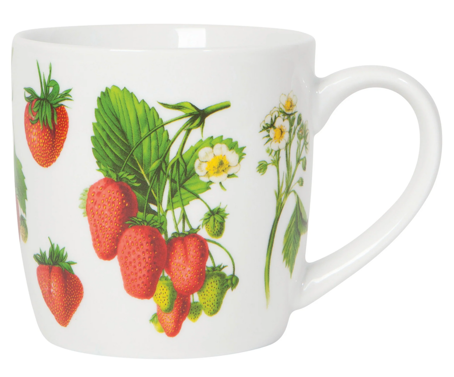 12 oz Mug - Berry