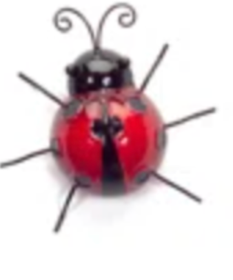 Lady Bug