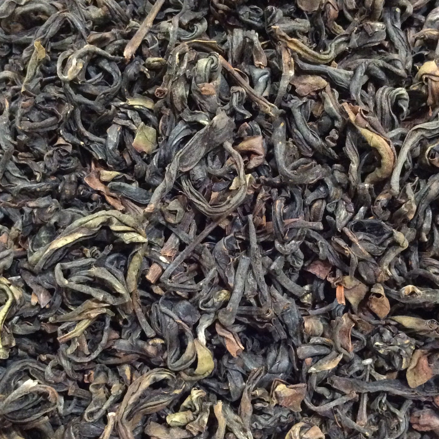 Kenya Purple  - TKP-002 - Purple Tea