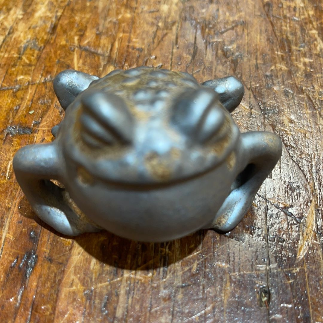 Tea Pet Frog