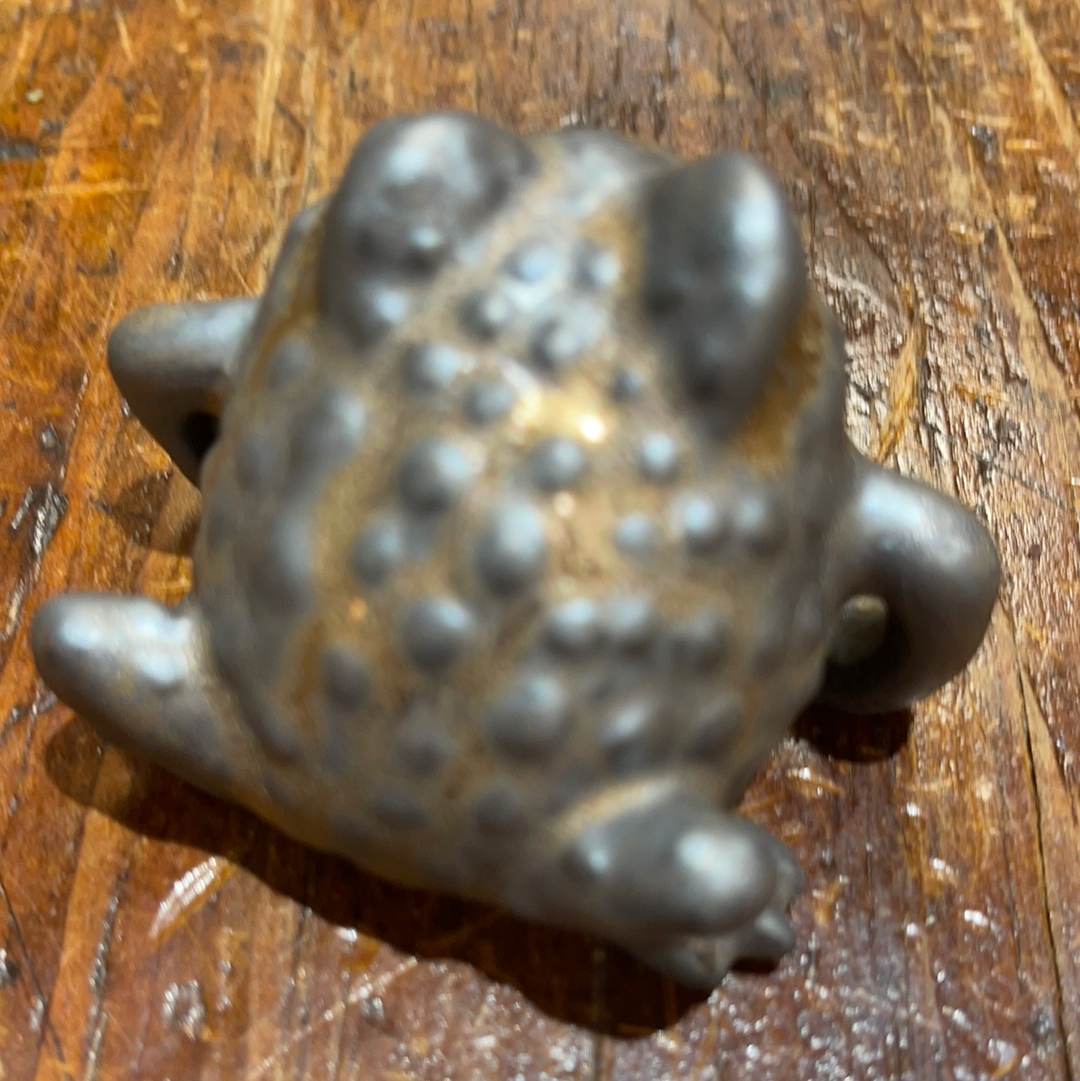 Tea Pet Frog