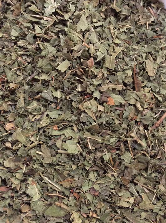 Verbena - 33140 - Verbena