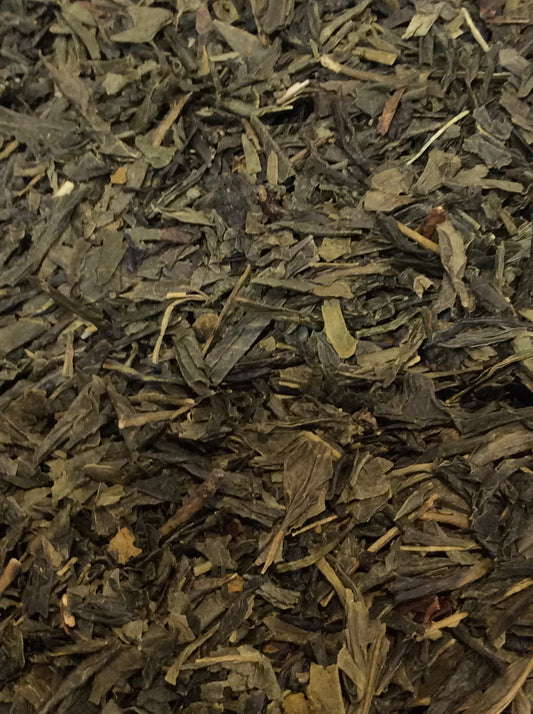 Sencha - 22503- Sencha