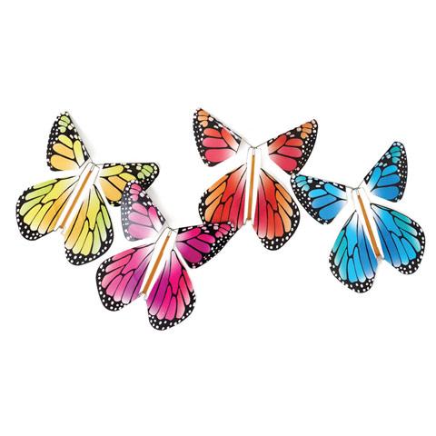 Magic Flying Rainbow Butterfly