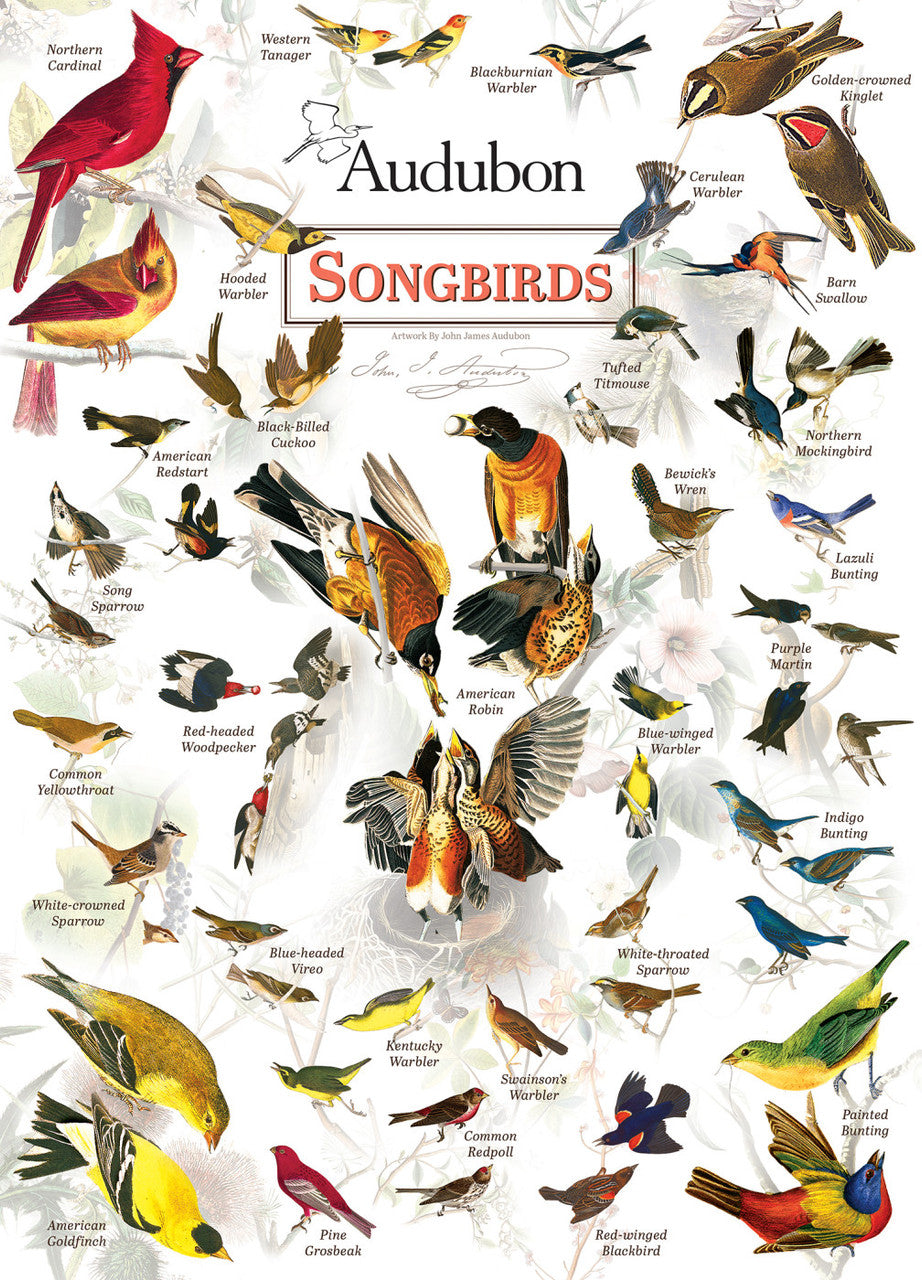 Jigsaw Puzzle Audubon - Songbirds 1000pc Puzzle